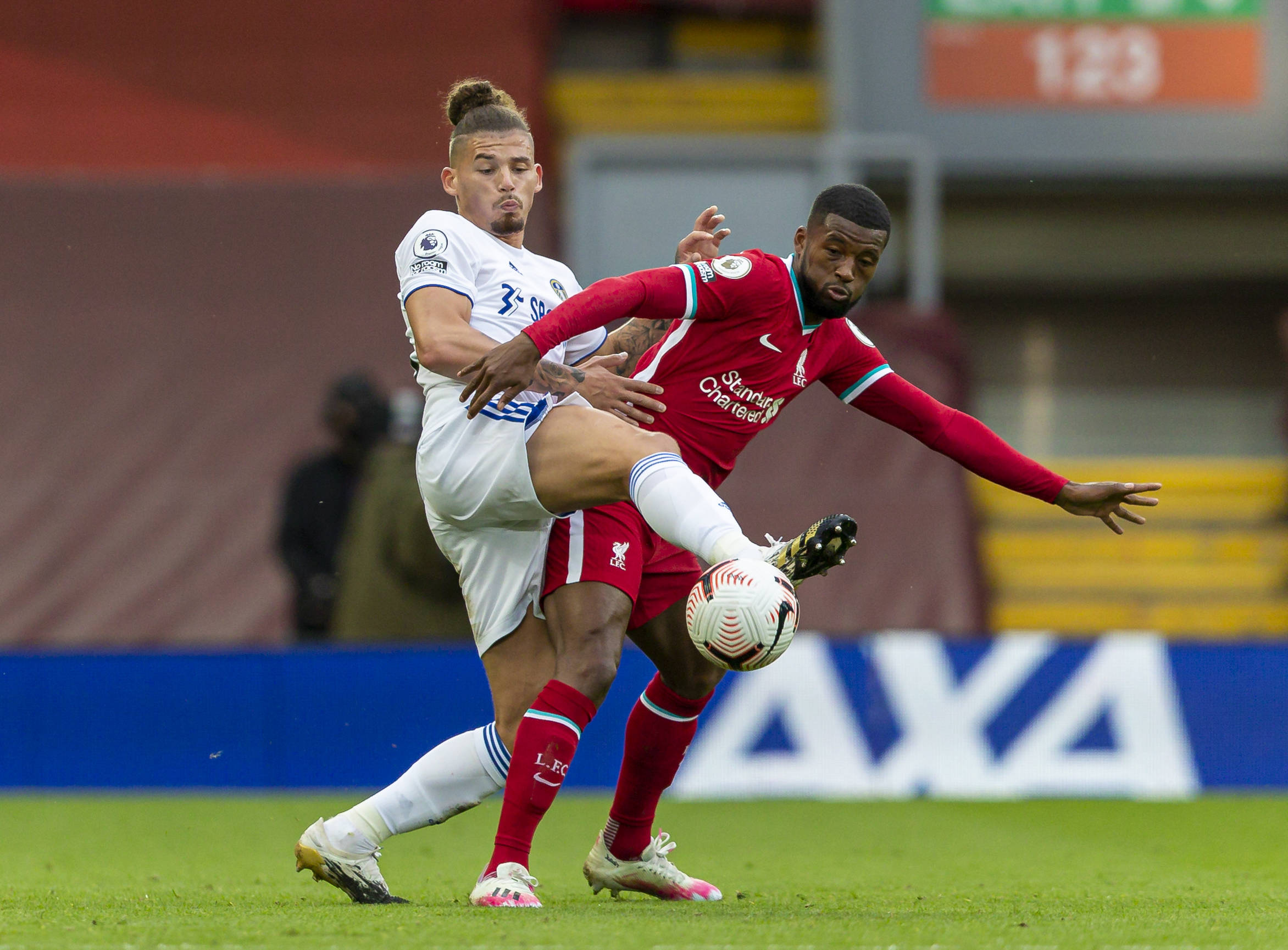 加多样化 加多样化